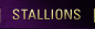 STALLIONS